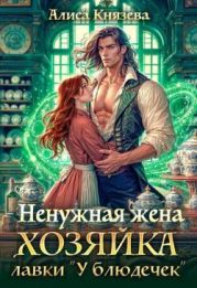 Ненужная жена. Хозяйка лавки У блюдечек