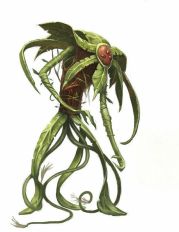 Звёзды сошлись