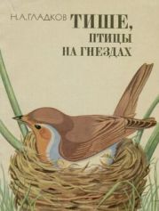 Тише, птицы на гнездах