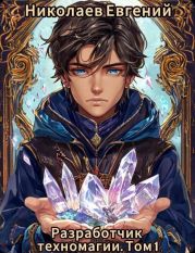 Разработчик техномагии. Том 1