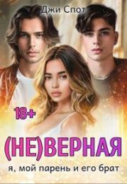 (не)верная. Я, мой парень и его брат