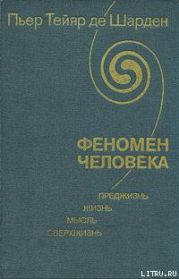 Феномен человека