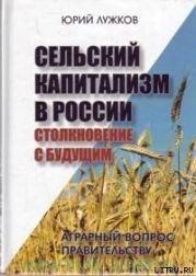 Сельский капитализм в России: Столкновение с будущим