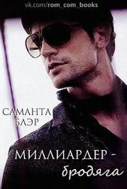 Миллиардер бродяга