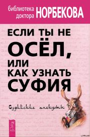 Если ты не осёл, или Как узнать суфия. Суфийские анекдоты