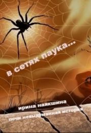 В сетях паука...