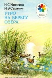 Утро на берегу озера