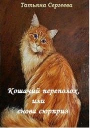 Кошачий переполох, или снова сюрприз