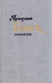 Гид для иностранцев в швабском городе Нейбурге