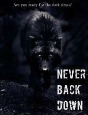 Never Back Down