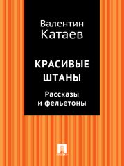 Красивые штаны