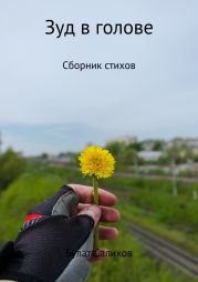 Зуд в голове. Сборник стихов