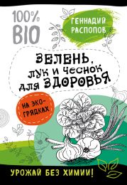 Зелень для здоровья. Лук и чеснок на эко грядках