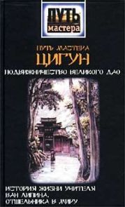 Путь мастера ЦИГУН. Подвижничество Великого Дао. История жизни учителя Ван Липина, отшельника в миру