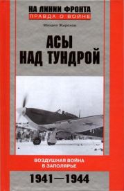 Асы над тундрой. Воздушная война в Заполярье. 1941–1944