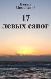 17 левых сапог