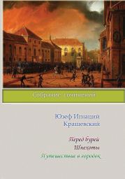 Перед бурей. Шнехоты. Путешествие в городок (сборник)