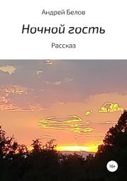 Ночной гость