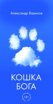 Кошка Бога