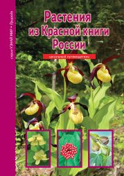 Растения из Красной книги России