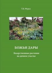 Божьи дары. Лекарственные растения на дачном участке