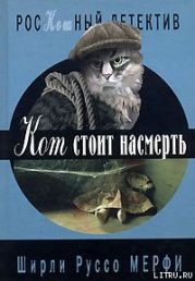 Кот стоит насмерть